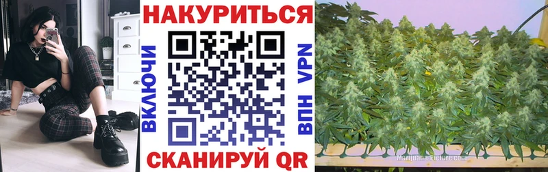 Конопля гибрид  цена   мега рабочий сайт  Звенигород 